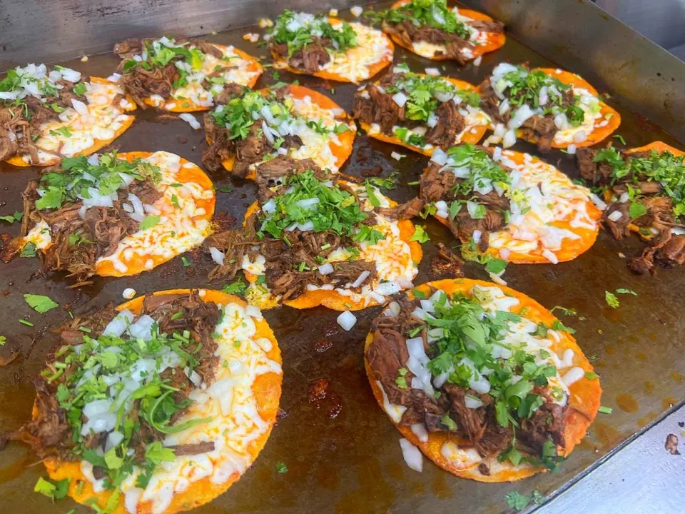 A flat-top griddle covered with cheesy birria tacos topped with onions and cilantro.
